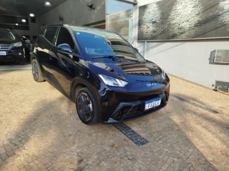 BYD Dolphin Mini 38 KW ELTRICO, Foto 3