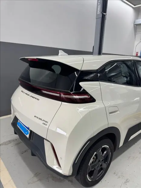 BYD Dolphin Mini 38 KW ELTRICO, Foto 8
