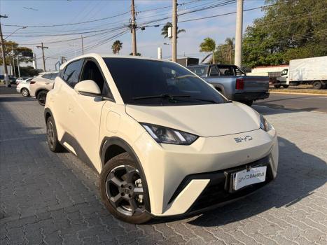 BYD Dolphin Mini 38 KW ELTRICO, Foto 3