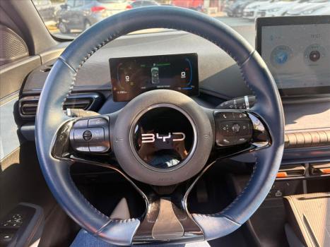 BYD Dolphin Mini 38 KW ELTRICO, Foto 6
