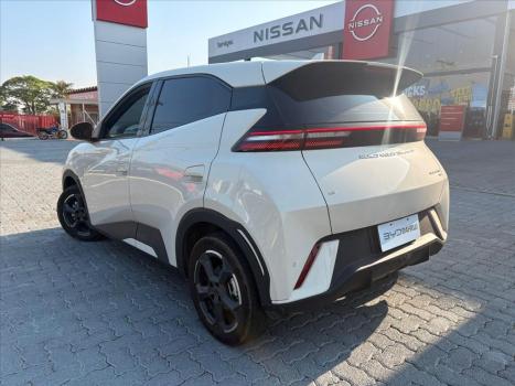 BYD Dolphin Mini 38 KW ELTRICO, Foto 15