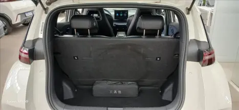 BYD Dolphin Mini 38 KW ELTRICO, Foto 13