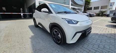 BYD Dolphin Mini 38 KW ELTRICO, Foto 3