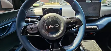 BYD Dolphin Mini 38 KW ELTRICO, Foto 5