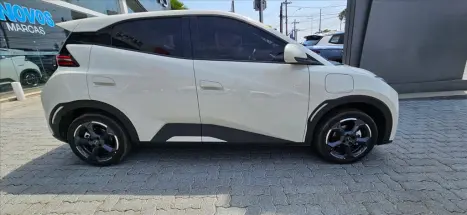 BYD Dolphin Mini 38 KW ELTRICO, Foto 11