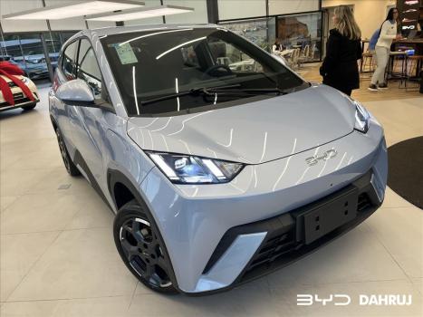 BYD Dolphin Mini 38 KW ELTRICO, Foto 3
