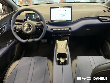 BYD Dolphin Mini 38 KW ELTRICO, Foto 5