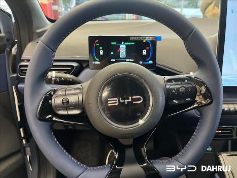 BYD Dolphin Mini 38 KW ELTRICO, Foto 6