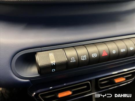 BYD Dolphin Mini 38 KW ELTRICO, Foto 10