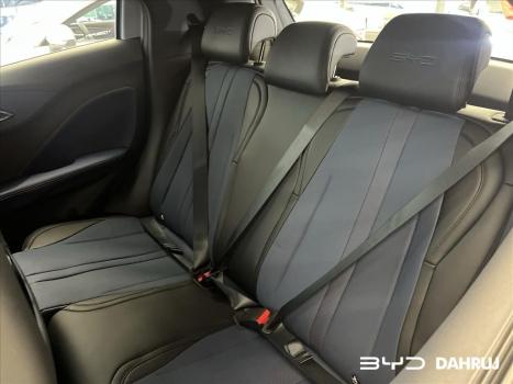 BYD Dolphin Mini 38 KW ELTRICO, Foto 14