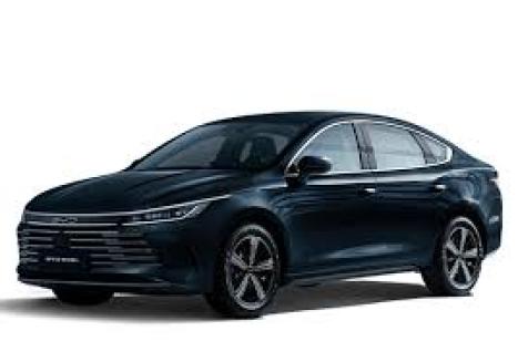 BYD King 1.5 16V 4P GS DM-I PHEV AUTOMTICO, Foto 2