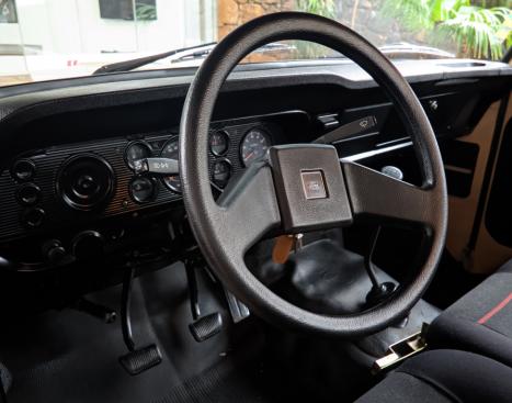 FORD F-1000 3.9 SUPER SERIE CABINE SIMPLES TURBO DIESEL, Foto 13
