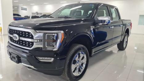 FORD F-150 5.0 V8 24V FX4 LARIAT CABINE DUPLA AUTOMTICO, Foto 1