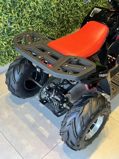 FUN MOTORS Avalanche 90 , Foto 2