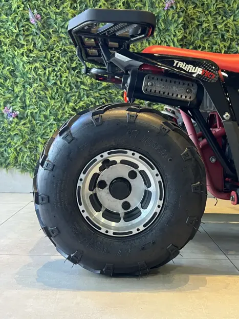 FUN MOTORS Avalanche 90 , Foto 7