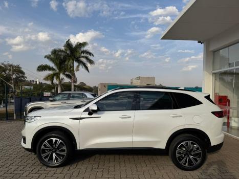 GWM Haval H6 1.5 16V 4P PHEV PREMIUM AWD E-TRACTION AUTOMTICO, Foto 8