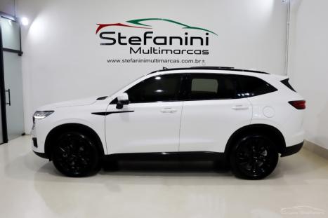 GWM Haval H6 1.5 16V 4P HEV PREMIUM E-TRACTION AUTOMTICO, Foto 11