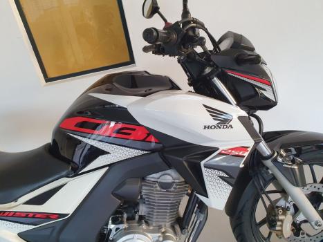 HONDA CB 250 F Twister FLEXONE, Foto 5