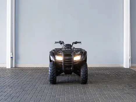 HONDA Four Trax 420, Foto 2