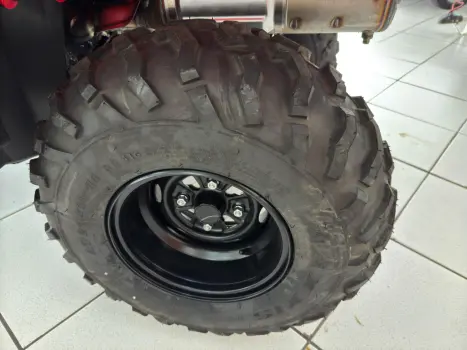 HONDA Four Trax 420, Foto 8