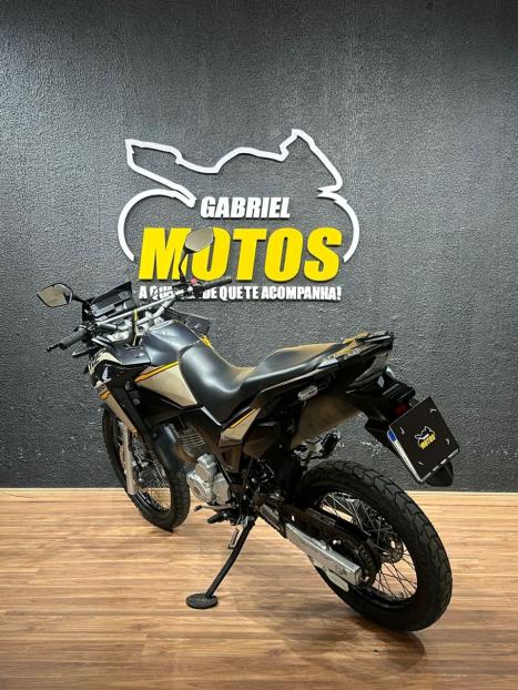 HONDA XRE 300 ADVENTURE, Foto 5