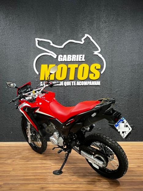 HONDA XRE 300 RALLY ABS, Foto 5