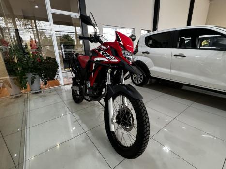 HONDA XRE 300 RALLY ABS, Foto 2