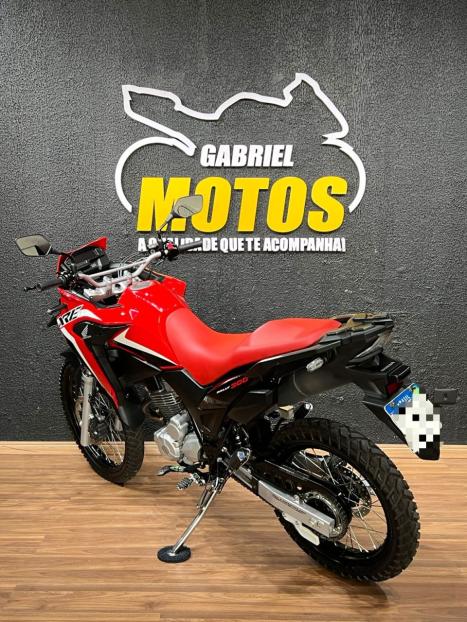 HONDA XRE 300 RALLY ABS, Foto 5