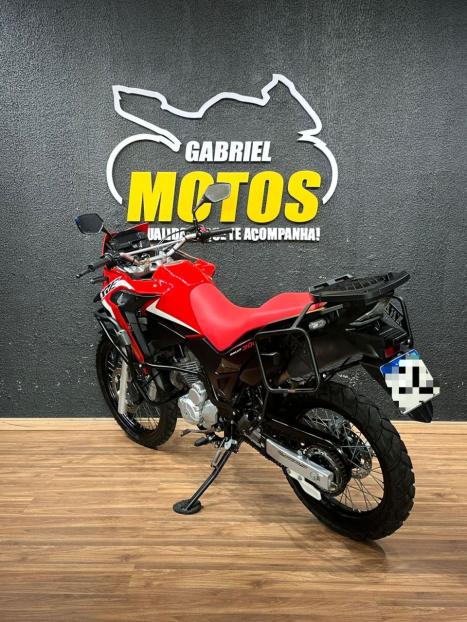HONDA XRE 300 RALLY ABS, Foto 6