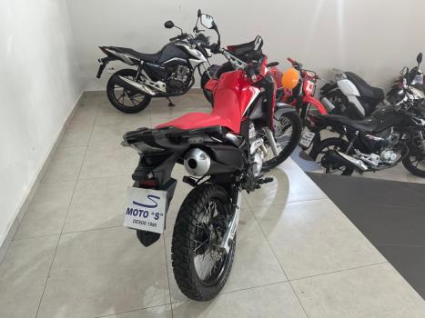HONDA XRE 300 RALLY ABS, Foto 5