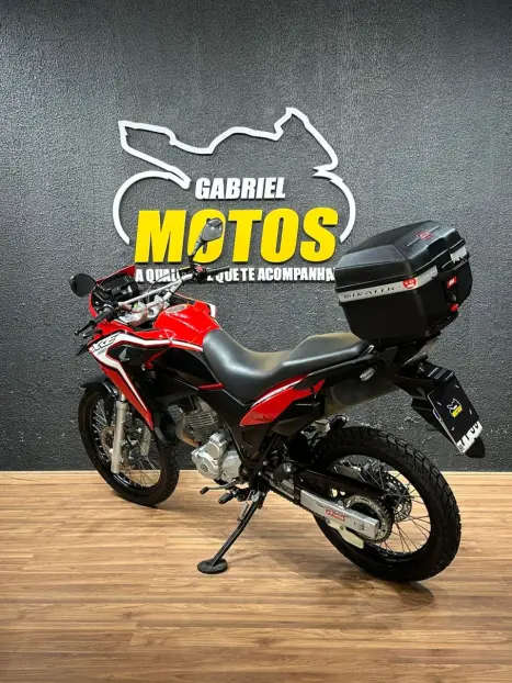 HONDA XRE 300 RALLY ABS, Foto 6