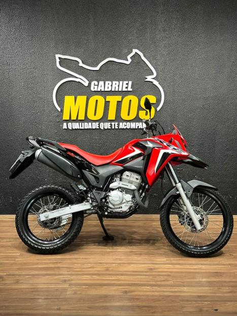 HONDA XRE 300 RALLY ABS, Foto 1