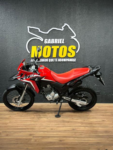 HONDA XRE 300 RALLY ABS, Foto 2