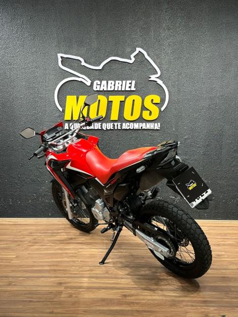 HONDA XRE 300 RALLY ABS, Foto 5