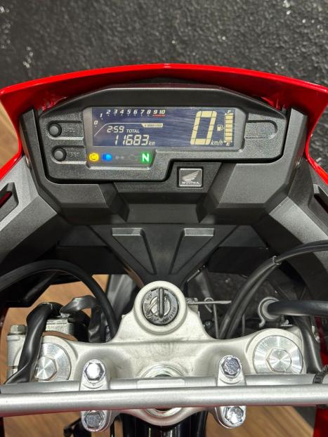 HONDA XRE 300 RALLY ABS, Foto 7