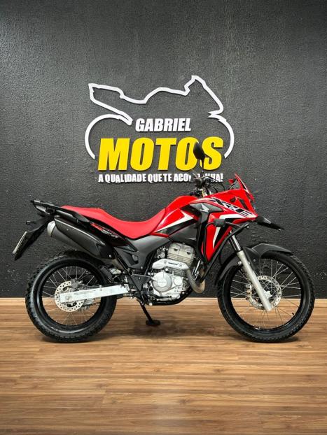 HONDA XRE 300 RALLY ABS, Foto 1