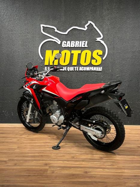 HONDA XRE 300 RALLY ABS, Foto 5
