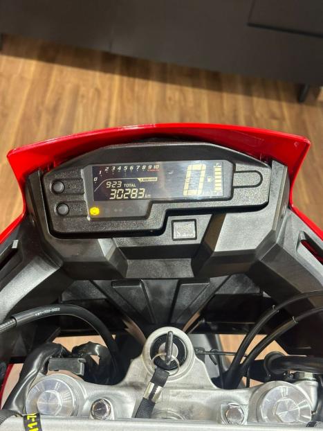HONDA XRE 300 RALLY ABS, Foto 7