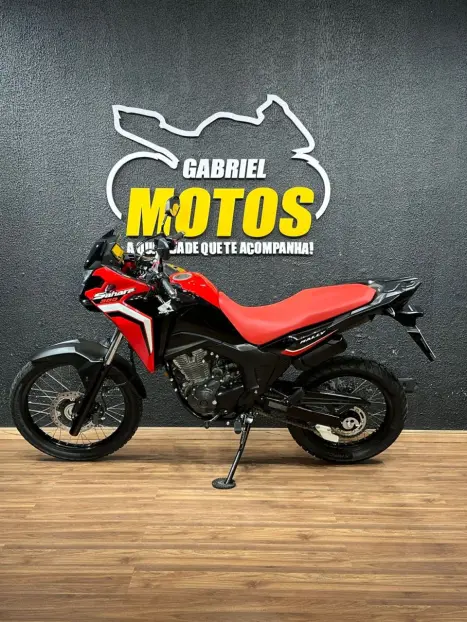 HONDA XRE 300 Sahara RALLYE, Foto 2