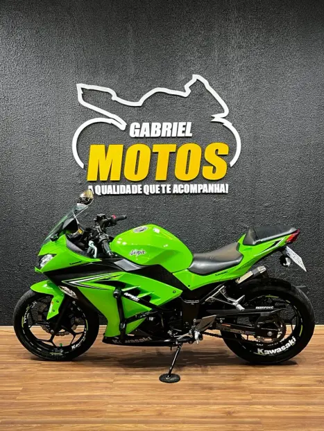 KAWASAKI Ninja 300 , Foto 2