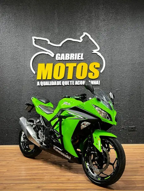 KAWASAKI Ninja 300 , Foto 3