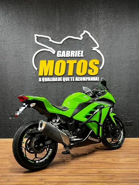 KAWASAKI Ninja 300 , Foto 6