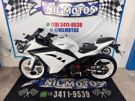 KAWASAKI Ninja 300 , Foto 1