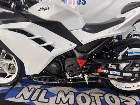KAWASAKI Ninja 300 , Foto 4