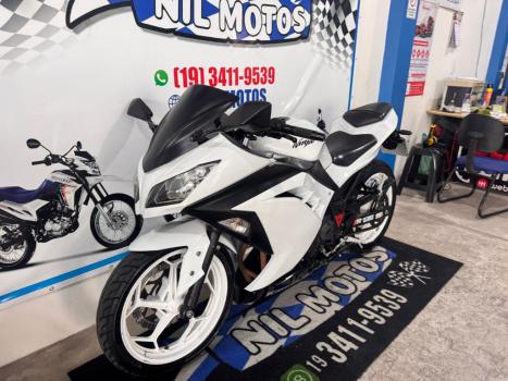 KAWASAKI Ninja 300 , Foto 6