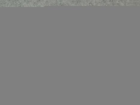 TOYOTA Hilux SW4 2.8 16V 4P SRX PLATINUM 4X4 7 LUGARES TURBO DIESEL AUTOMTICO, Foto 5