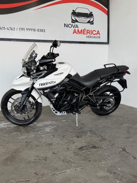 TRIUMPH Tiger 800 XRX L (LOW), Foto 3