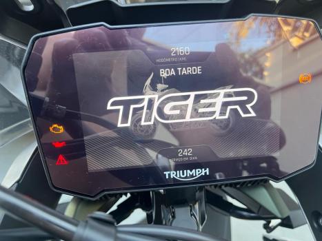 TRIUMPH Tiger 900 RALLY PR, Foto 3