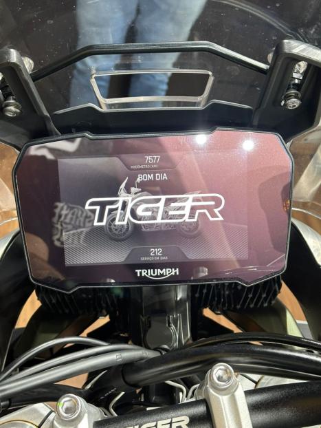 TRIUMPH Tiger 900 RALLY PR, Foto 7