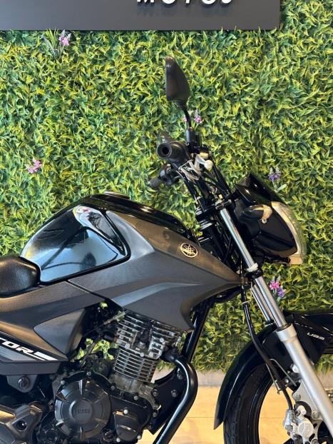 YAMAHA Factor 150 ED, Foto 4